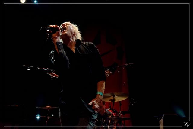 NIK_80249 Radio Birdman 18-10-2018 (Zz) (p).jpg